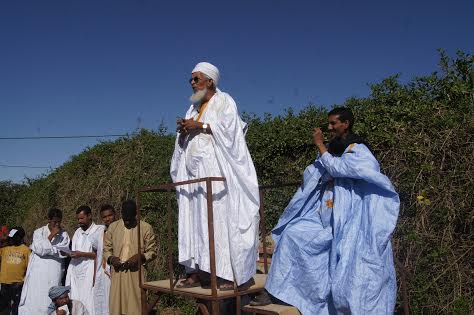 الشيخ محمد عبد الرحمن ولد فتى